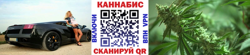 Бошки марихуана Bruce Banner  Шенкурск 